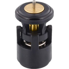 Thermostat, Kühlmittel 100 616