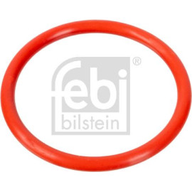 Dichtung, Kühlmittelflansch 100078