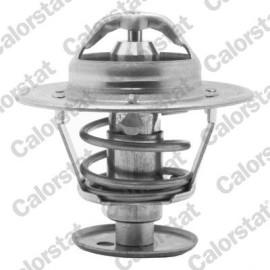 Thermostat, Kühlmittel TH5981.89J Thermostat, Kühlmittel TH5981.89J