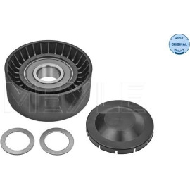 Umlenk-/Führungsrolle, Keilrippenriemen 100 009 0010