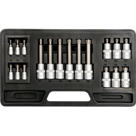 Biteinsatz-Sortiment 18. St. Torx T10-T60mm YT-7751