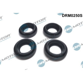 DR.MOTOR Dichtungssatz Einspritzdüse DRM0250S