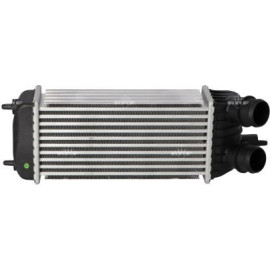 Ladeluftkühler 30193
