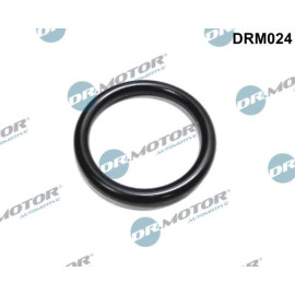 Dichtung, Kühlmittelflansch DRM024