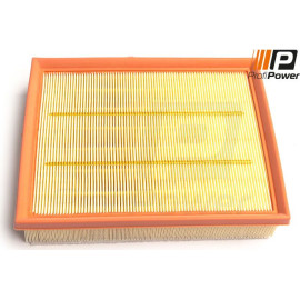 Profipower Luftfilter 2F0251