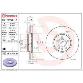 Bremsscheibe VA 09.D250.11