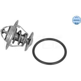 Thermostat, Kühlmittel 100 121 0048