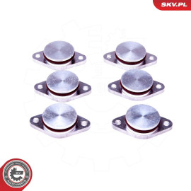 ESEN SKV Reparatursatz, Saugrohrmodul 49SKV542