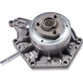 HEPU Wasserpumpe P582A