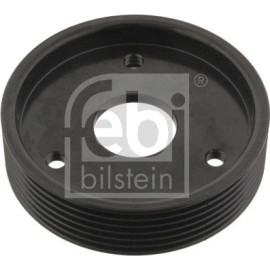 Riemenscheibe, Servopumpe 29501