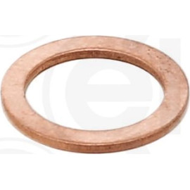 Dichtring 115.100