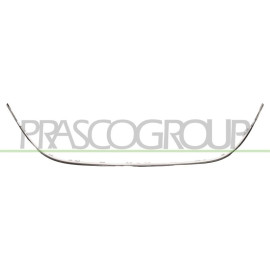 LEISTE F GRILL UNTEN MITTE CHROM PQ 4619,440,3