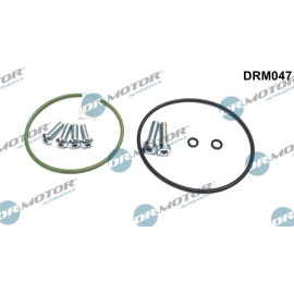 Reparatursatz, Unterdruckpumpe (Bremsanlage) DRM047