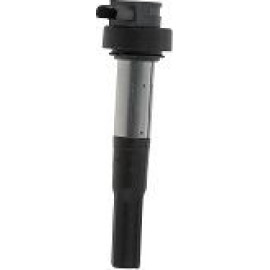 BorgWarner (BERU) Zündspule ZS386