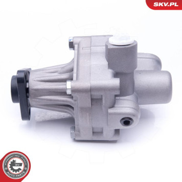 10SKV245 SKV GERMANY Hydraulikpumpe 10SKV245 10SKV245 SKV GERMANY Hydraulikpumpe 10SKV245
