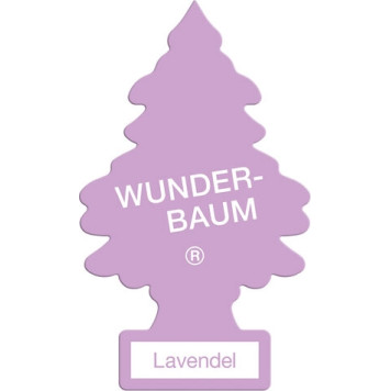 88958704 Wunderbaum Lavendel 1 Stk