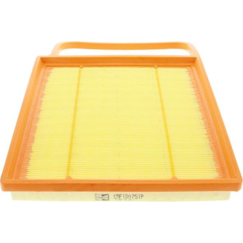 CAF100751P Champion Luftfilter CAF100751P CAF100751P Champion Luftfilter CAF100751P