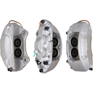 DRI Bremssattel Vorderachse links im Austausch 3175020 DRI Bremssattel Vorderachse links im Austausch 3175020