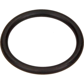 N90466301 VAG Original N90466301 VW Ölpumpendichtung (30X3,5) – – OE-Nr. N90466301