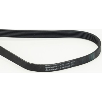 6PK1590 CONTINENTAL CTAM Keilrippenriemen 6PK1590 6PK1590 CONTINENTAL CTAM Keilrippenriemen 6PK1590
