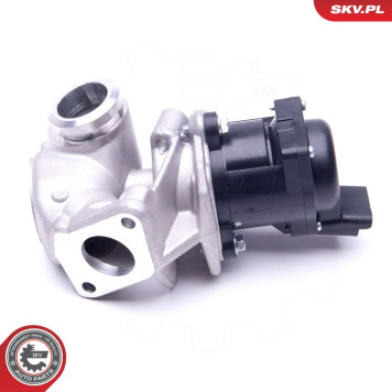 14SKV202 ESEN SKV AGR-Ventil 14SKV202 14SKV202 ESEN SKV AGR-Ventil 14SKV202