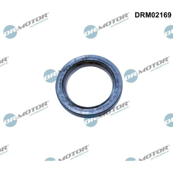 DRM02169 WELLENDICHTRING, KURBELWELLE DRM02169 WELLENDICHTRING, KURBELWELLE