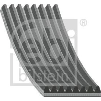 FEBI BILSTEIN Rillenriemen | 45296