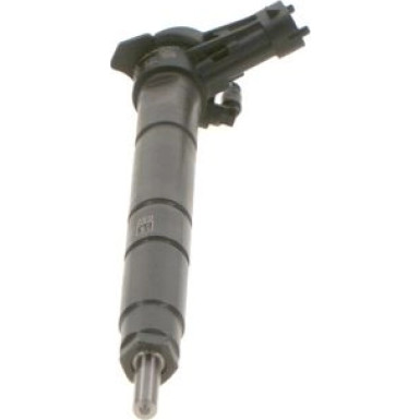 Einspritzdüse | RENAULT Latitude 10 | 0 445 115 084