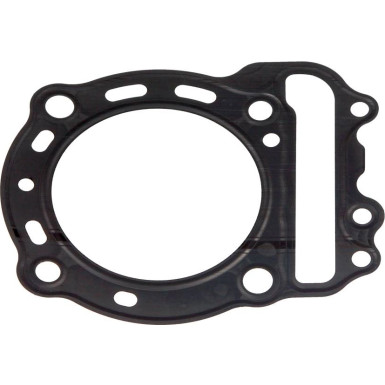 Motorzylinderkopfdichtung. Honda Forza Nss 250 2005-2007 (1 El.) | 666B03281
