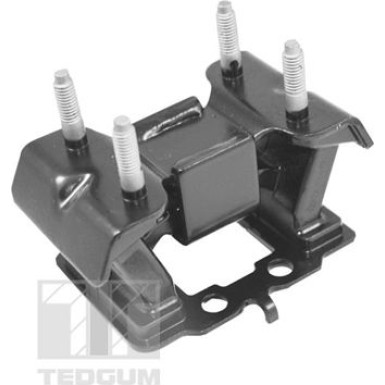 TEDGUM_TD Lagerung, Motor | TED99751