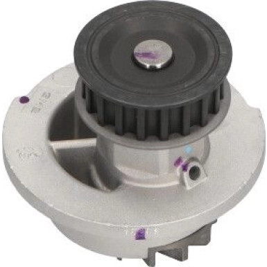 PA 442 Wasserpumpe | OPEL Kadett,Corsa,Astra F,G | DW-1002 PA 442 Wasserpumpe | OPEL Kadett,Corsa,Astra F,G | DW-1002