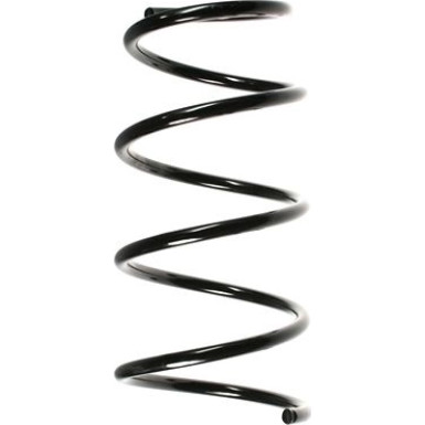 SPIDAN Fahrwerksfeder