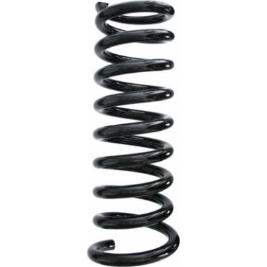 SPIDAN Fahrwerksfeder 49224 SPIDAN Fahrwerksfeder 49224