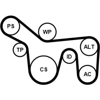 Continental CTAM Satz Gürtel 6PK1715K1