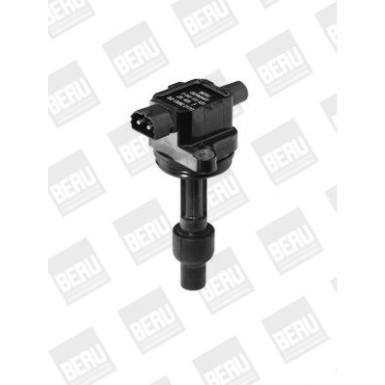 BorgWarner (BERU) Zündspule ZS429