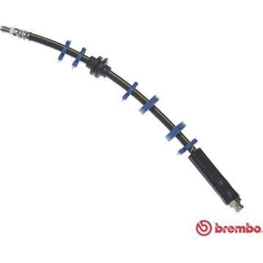 BREMBO Bremsschlauch | T 23 143