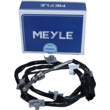Sensor, Abgastemperatur | 6148000060