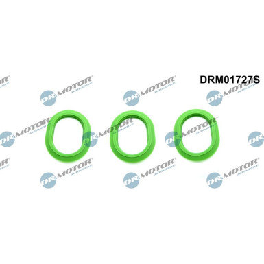 DR.MOTOR Dichtungssatz, Ansaugkrümmer DRM01727S