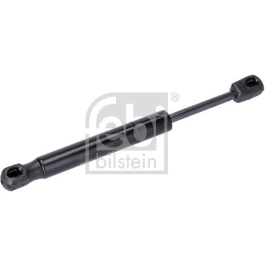 Gasfeder, Heckscheibe | 29268