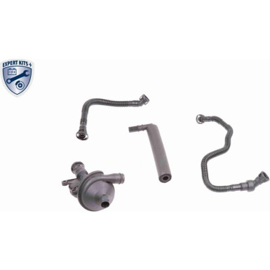 VAICO Reparatursatz, Kurbelgehäuseentlüftung V20-1873