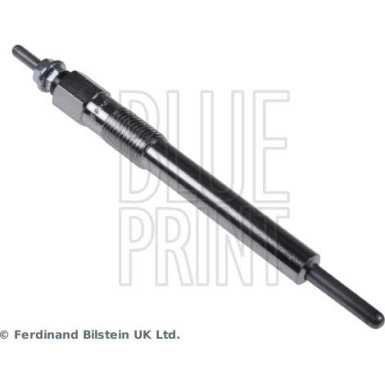 BluePrint Glühkerze BluePrint Glühkerze