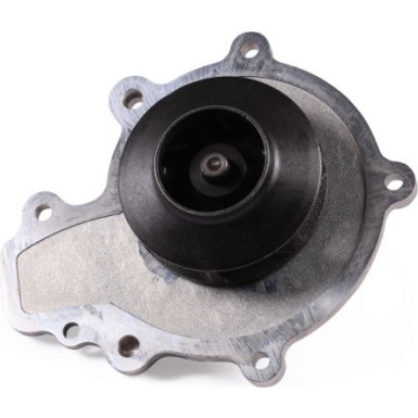 HEPU Wasserpumpe P369