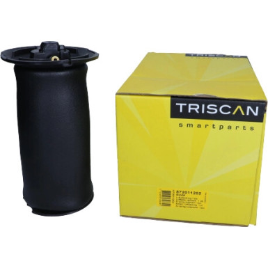 8720 11202 Luftfeder, Fahrwerk