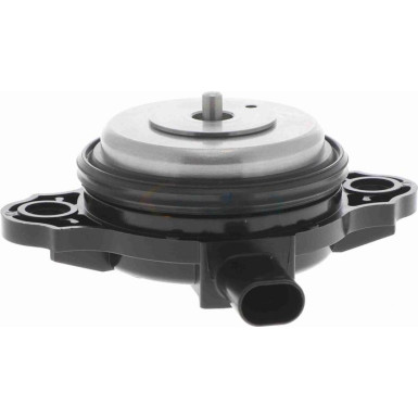 VAICO Zentralmagnet, Nockenwellenverstellung V20-3666