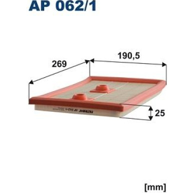 FILTRON Luftfilter AP 062/1