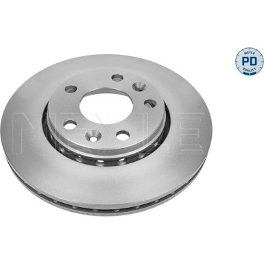 72 481 046PD Bremsscheibe VA Platinum RENAULT Laguna,Megane,Scenic 07 MEYLE-PD: Advanced performance and design 16-15 521 0040/PD