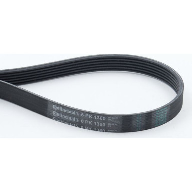 CONTINENTAL CTAM Keilrippenriemen 6PK1360 CONTINENTAL CTAM Keilrippenriemen 6PK1360
