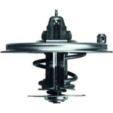 Thermostateinsatz mit Dichtung | BMW 5-7-8 Serie 530-850i 92-01 | TX 36 85D