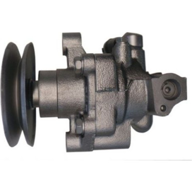 SPIDAN Hydraulikpumpe 53984
