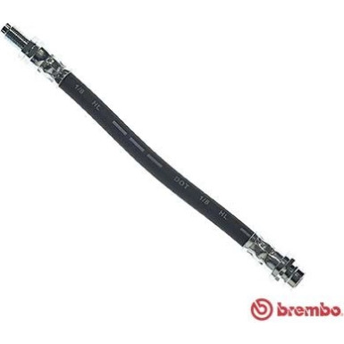 BREMBO Bremsschlauch | T 86 033